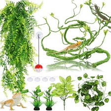 Hängepflanze Terrarium