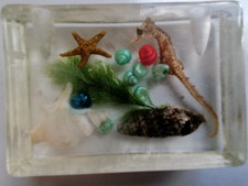 Tischdeko Ständer Muscheln Seepferdchen Seestern