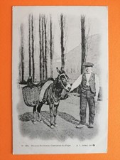 AK Szene und Typ der HOHEN PYRENÄEN Landkostüme Esel Ziege im KORB