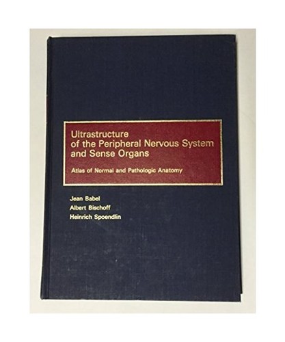 Ultrastructure the - ultrastructure, of