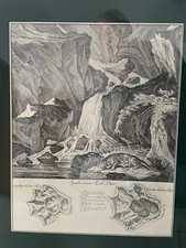 Ridinger - JOHANN E. RIDINGER