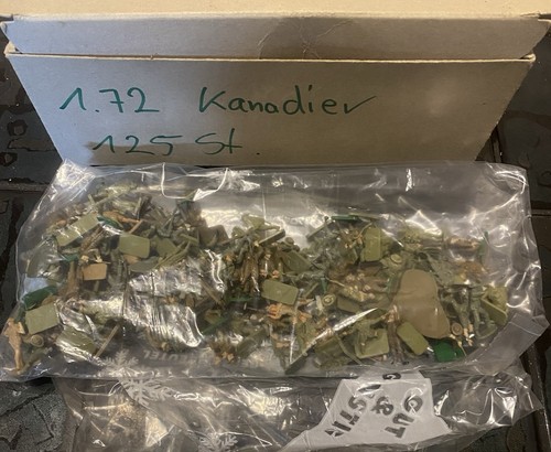 125 kanadische soldaten - 125,