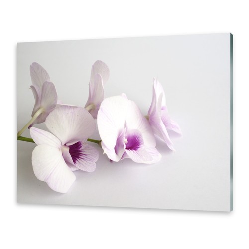 Acrylglasbilder wandbild aus - acrylglasbilder,