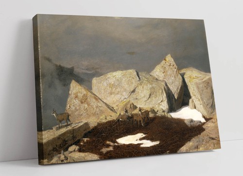 Hohe berge mit gämse - berge,