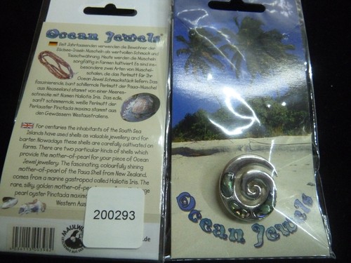 Paua muschel abalone - abalone, brosche