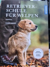 Retriever-Schule für Welpen