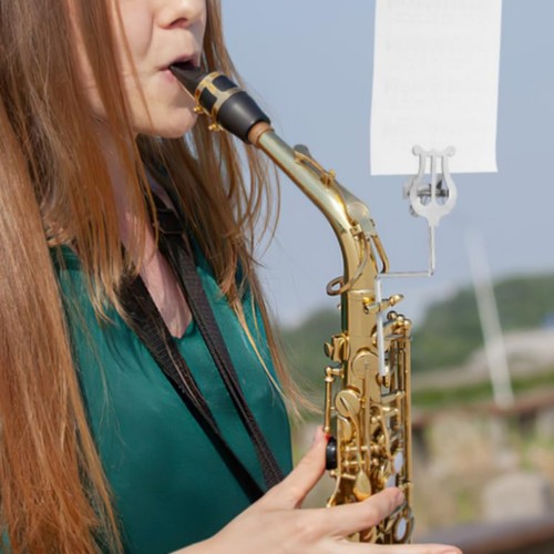 Saxophon notenhalter kompakt - saxophon-notenhalter,