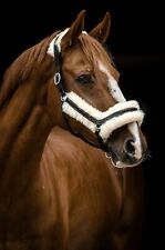 Lederhalfter Danilo Lammfell  + Patches abnehmbar Leder Halfter VB WB XF XXFull 