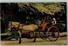 13182899 - Fjordpferd Kutsche