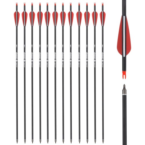 Pfeile carbon 31 zoll - pfeile, 30