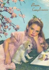 COCKER  SPANIEL      * DOG * Postkarte  Postcard  # 24 RARE