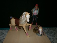 Barbie Pferd mit abnehmbarem Kopf + Ersatzkopf Puppe Zubehör