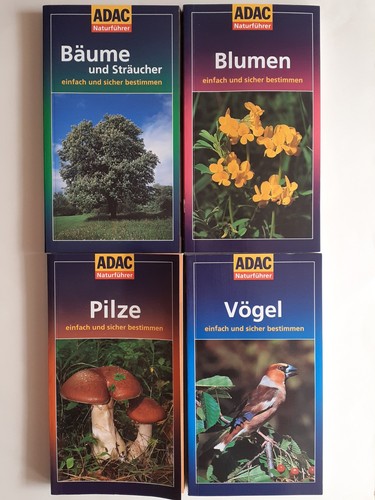 Vögel naturführer kompakt - naturführer,