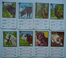 Schönes Quartett Tiere