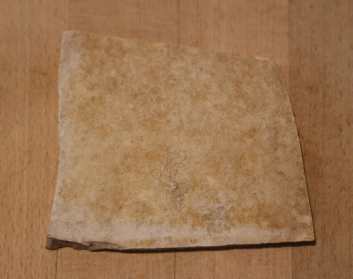 Fossil haarsterne seelilie - fossil,