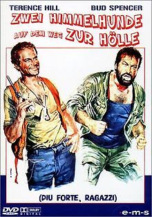 Zwei himmelhunde auf - zwei,