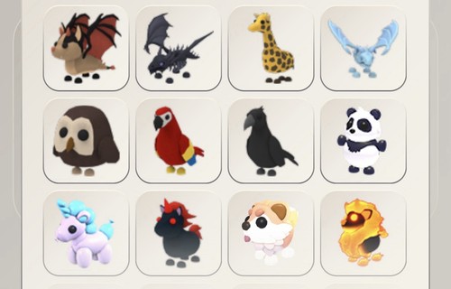 Adopt pets any pet bei - any,