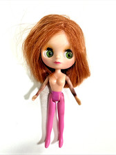 Hasbro Littlest Pet Shop