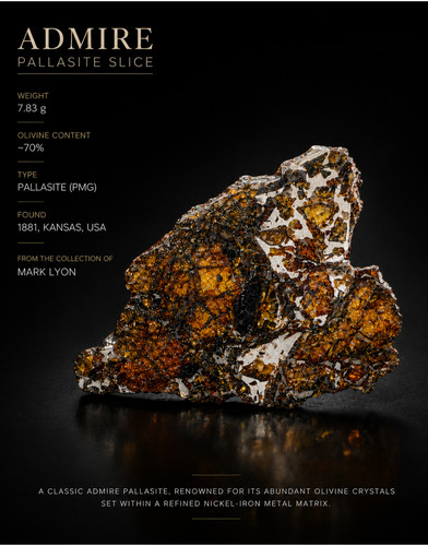 Meteorite admire pallasite - meteorite,