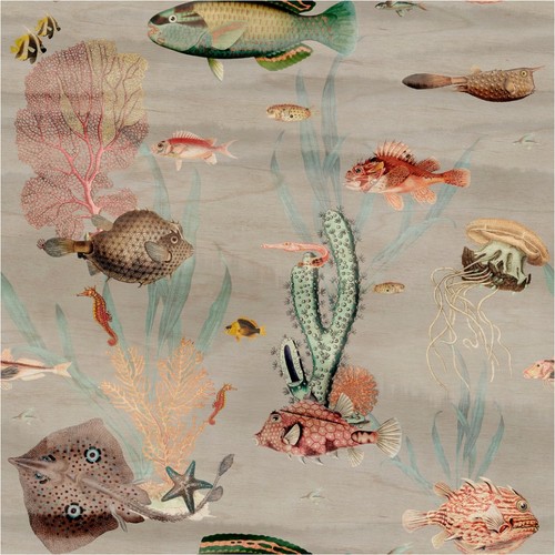 Fototapete fische vliestapete - fische,