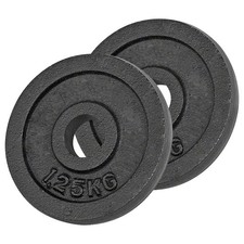Hantelscheibe aus Gußeisen, Hantel, Gewichte, 2x Stück: 1,25 kg