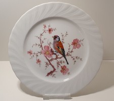 Seltmann Weiden Bavaria Regina