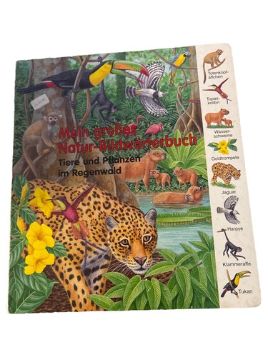 Regenwald bildwörterbuch - regenwald,