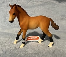 Schleich Horse Club Fohlen NEU! 2025 Edeka Aktion Exklusiv!