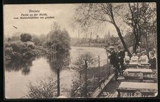 Dessau, Partie an der Mulde vom Muldstübchen aus gesehen, Ansichtskarte 1917 