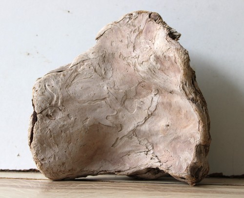 Treibholz schwemmholz - treibholz,