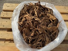 Tabakblätter ''Burley'' 5 Kg   (Tabak,Tabakpflanzen)