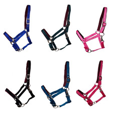 Halfter Basic weich unterlegt Shetty/Pony/Cob/Full