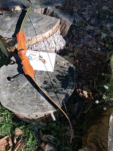 Vintage hoyt archery pro - ,