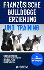 Französische Bulldogge