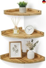 Petrala Eckregal hängend