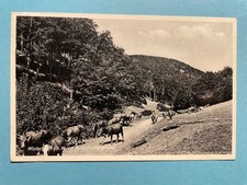 Alte AK von Winterstein im Th