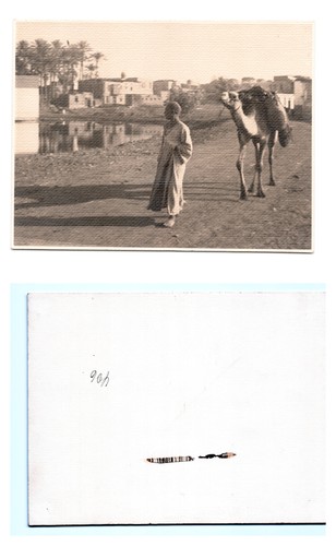 Fremdenlegion - (a69745a406),