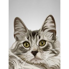 Katze Illustration grau