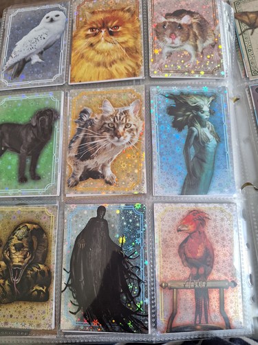 Harry potter panini sammlung - harry,