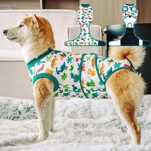 Hundebody body leck - op,