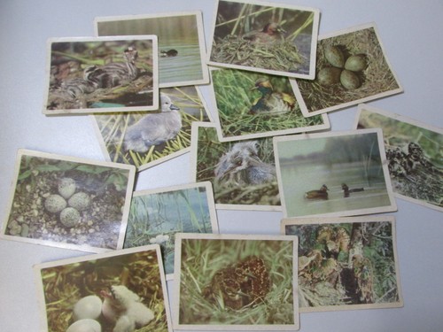 Ddr zigaretten bilder für - bilder,