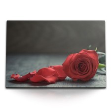 120x80cm Wandbild auf Leinwand