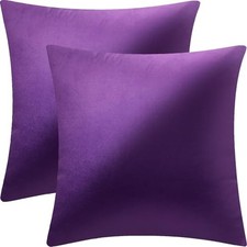 2 Pack 18x18 Pillow Cover