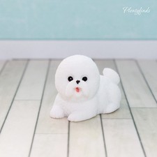 Miniatur Hund Bichon Welpe