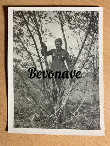 Foto ww2 luftwaffe soldat - 2.wk,