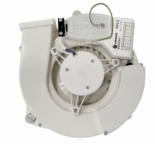 Limodor typ d - limodor, f