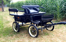 Gebrauchte Zweispänner Pony Kutsche, Spur 115, top Zustand, wenig gefahren 