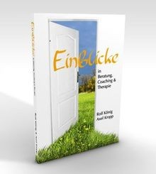 Einblicke beratung - in,