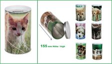 Rote-Katzen-Spardose-Katzen-Ba