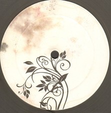 Sascha Dive - Deepest America